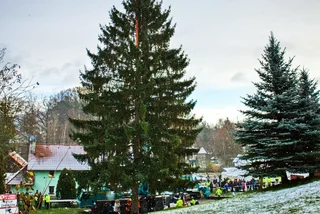 Prague's 2023 Christmas tree is on its way to Old Town Square